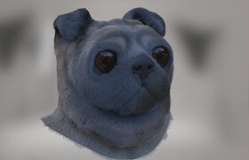 ArtStation - Grooming Of Pug In Houdin